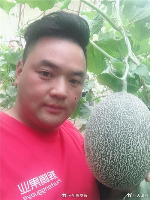 直播水果哥吃瓜,趣味横生引网友热议