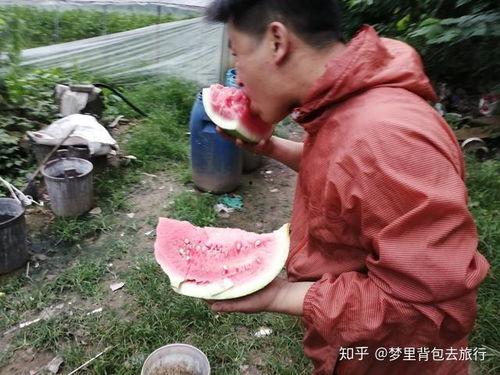 南昌吃瓜地摊,吃瓜地摊的烟火气息