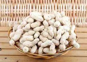 孕妇梦见吃花生瓜,孕妇的孕育期奇遇