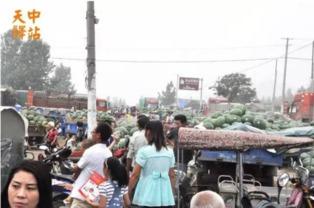 人山人海吃瓜,揭秘娱乐圈最新热点事件