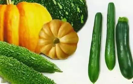 西胪吃瓜,探寻夏日消暑美食之旅