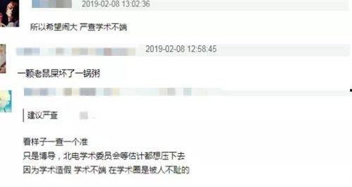 吃瓜群众写的文章,揭秘吃瓜群众视角下的娱乐圈风云