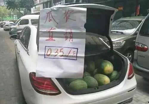 开什么车可以吃瓜,吃瓜更香——揭秘不同车型下的美食之旅