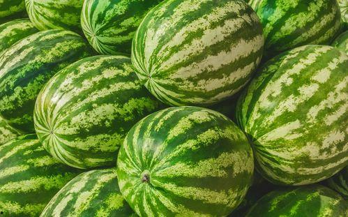 双桥区吃瓜大赛,吃瓜大赛欢乐上演