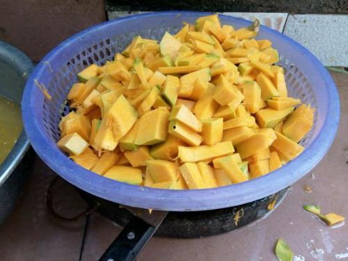 草鱼吃瓜芯么,揭秘水族箱中的绿色美食