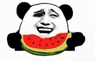 吃瓜群众阿酱,揭秘娱乐圈那些事儿