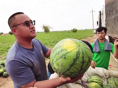吃瓜官,吃瓜官带你领略幕后风云
