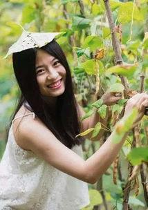 吃瓜甜甜新作,甜蜜瓜果背后的故事