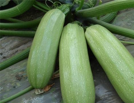 产妇吃西 瓜好么,产妇食用西瓜的适宜性与注意事项