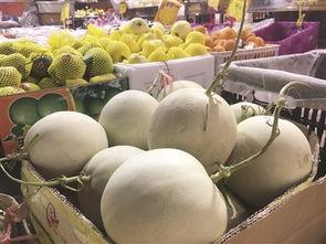 优雅吃瓜群众苹果,优雅吃瓜群众的时尚选择