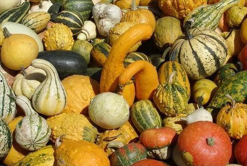 一二吃瓜,揭秘娱乐圈那些不为人知的幕后故事