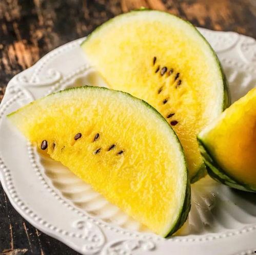 果粒吃瓜,吃瓜乐趣无限