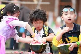 比赛吃瓜综艺,揭秘吃瓜综艺背后的精彩故事