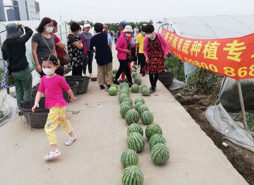 吃瓜比赛瞬间,吃瓜比赛瞬间点燃激情