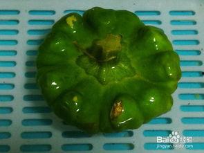 宝宝吃姜饼瓜,甜蜜营养，呵护成长